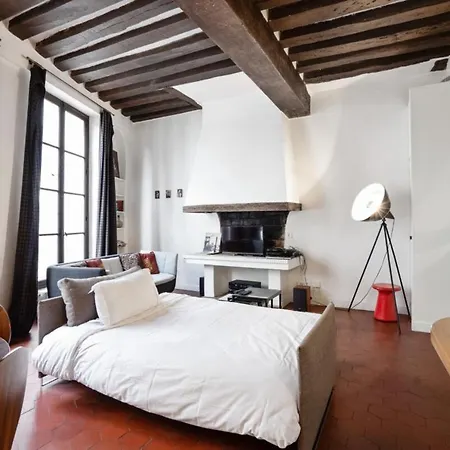 Parisian With Terrace In Saint Michel-notre Dame Apartment *
