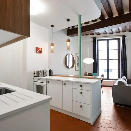 Apartment Parisian With Terrace In Saint Michel-notre Dame